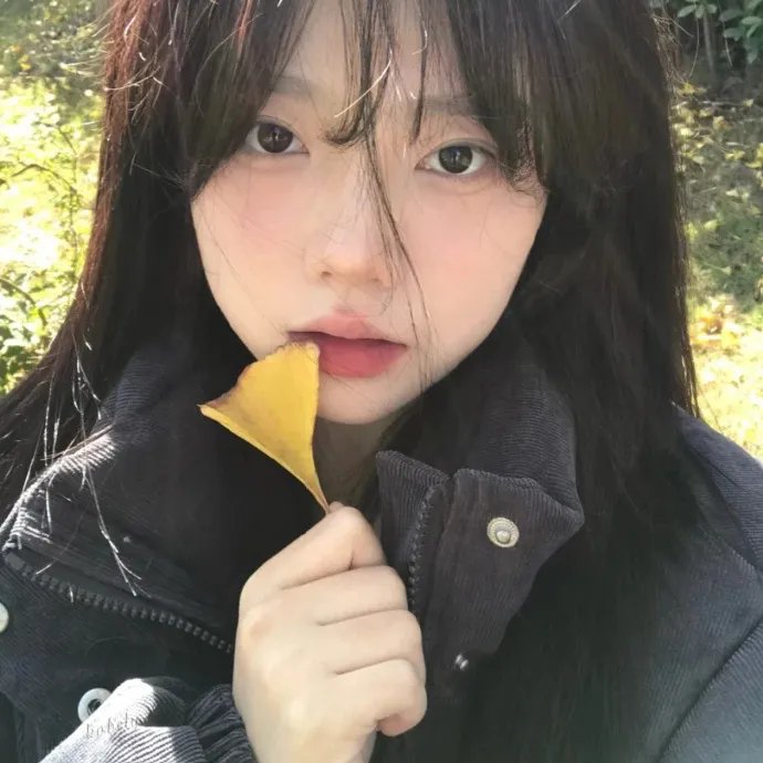 铁肺